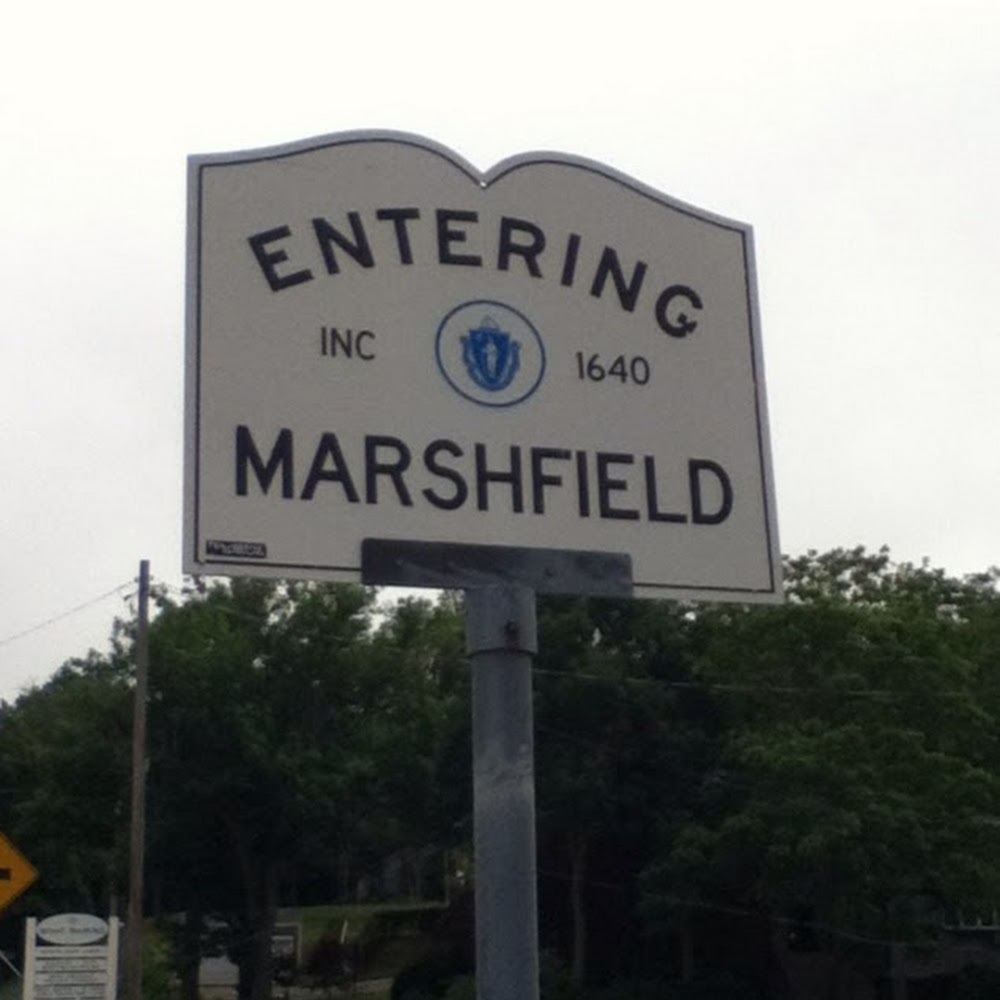 Meet your Posher, Rose